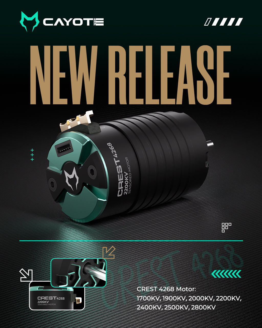 Cayote Crest 4268 1/8 Sensored Brushless Motor (2200kV) (IFMAR)