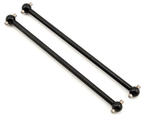 Hueso de perro trasero ECX (2)