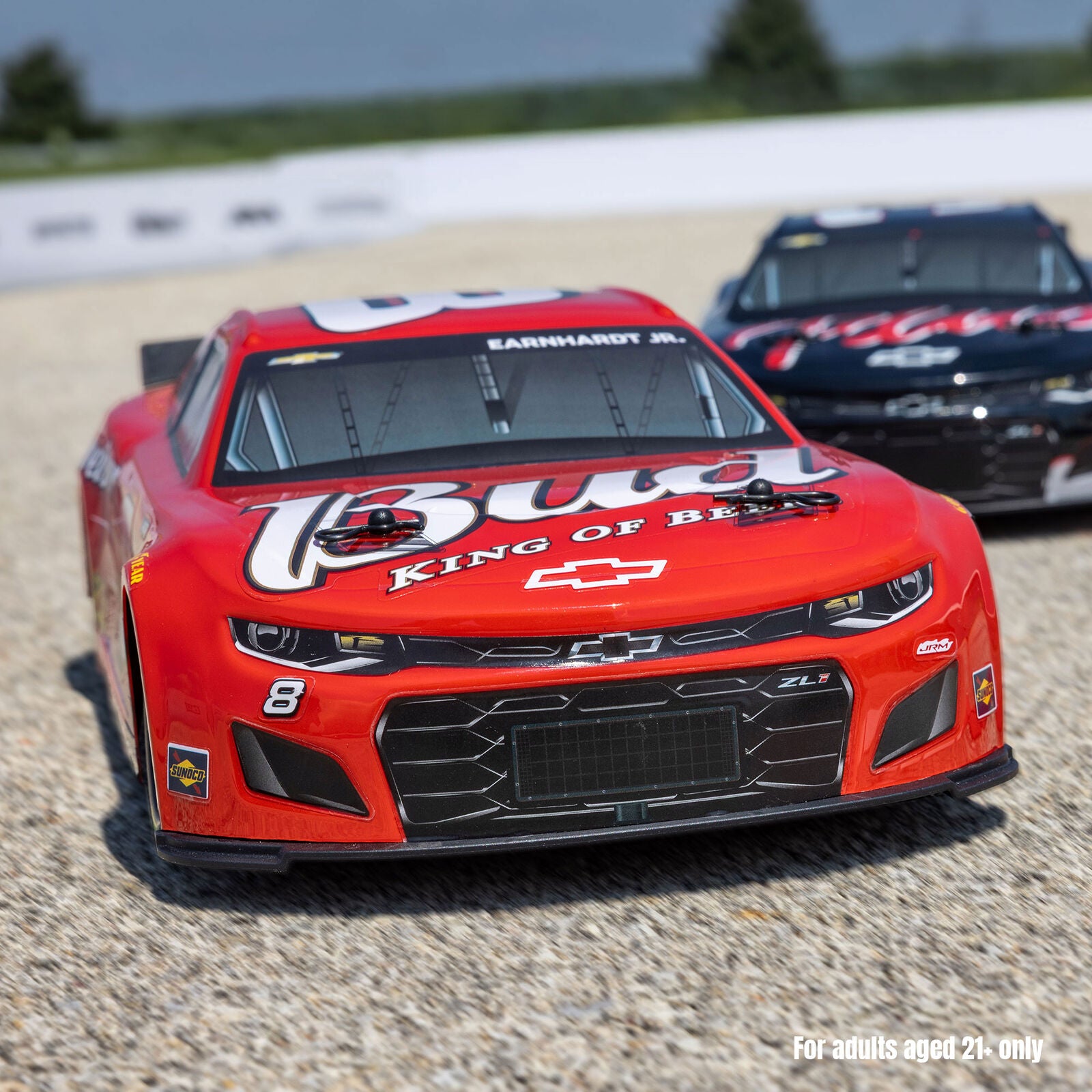 1/12 Losi NASCAR Dale Earnhardt Jr. No. 8 Budweiser (Battery & Charger Included)