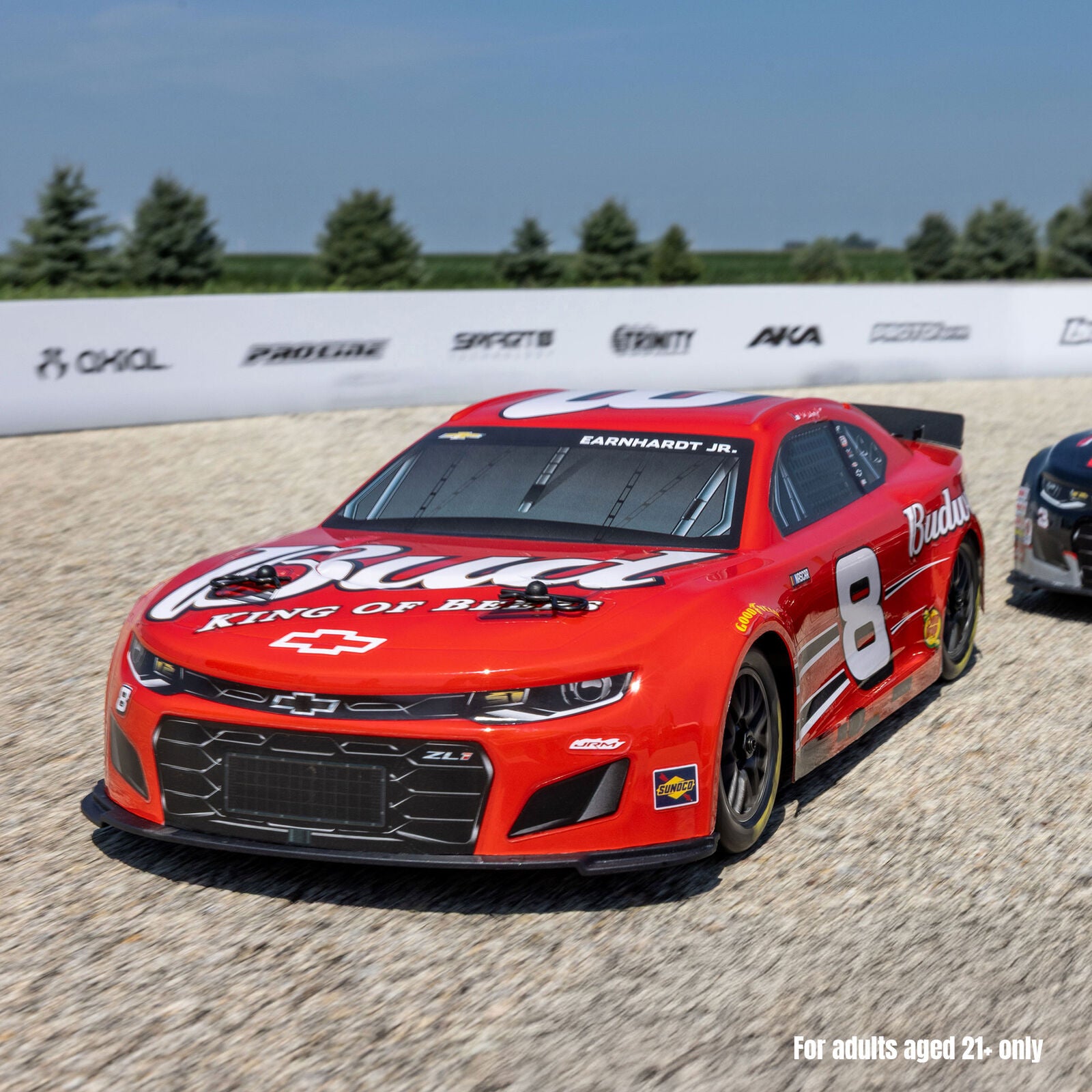 1/12 Losi NASCAR Dale Earnhardt Jr. No. 8 Budweiser (Battery & Charger Included)