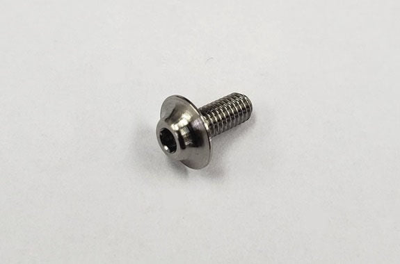 Reve D SPM Titanium Motor Screw (2pcs)