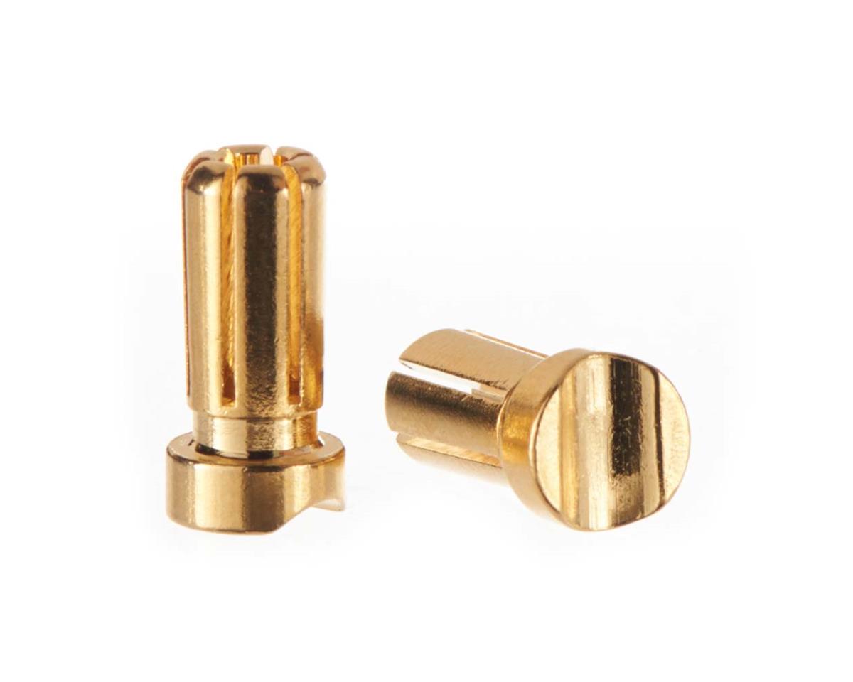 5mm Male Short Light Bullets Gold 13mm